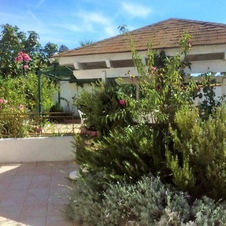 Appartement 3 Chambres Proche Mer Entre Palavas Les Flots Et Frontignan Plage Dans Maison Avec Jardin Villeneuve-les-Maguelonne Exterior photo
